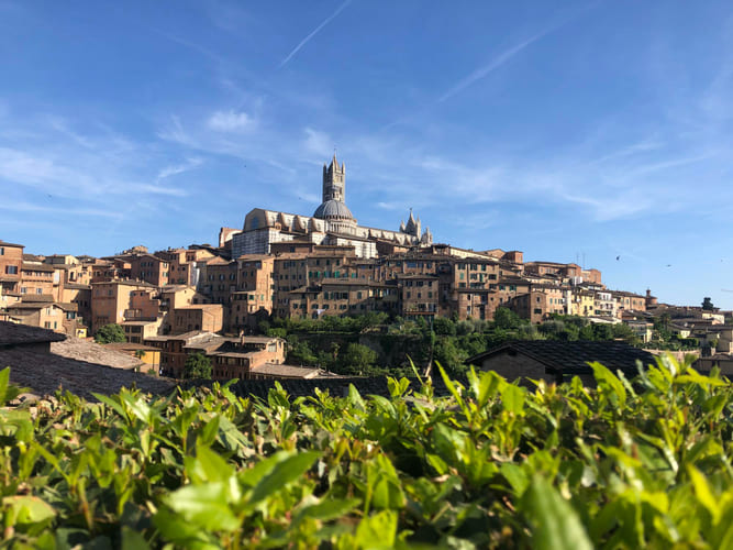 Cosa vedere tra Siena e Grosseto?